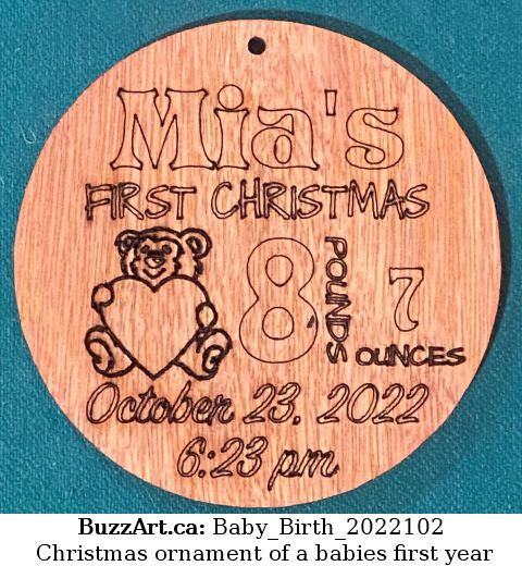 Christmas ornament of a babies first year